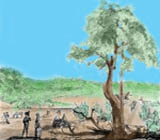 Image by Tina Elliot and Jason Buchanan